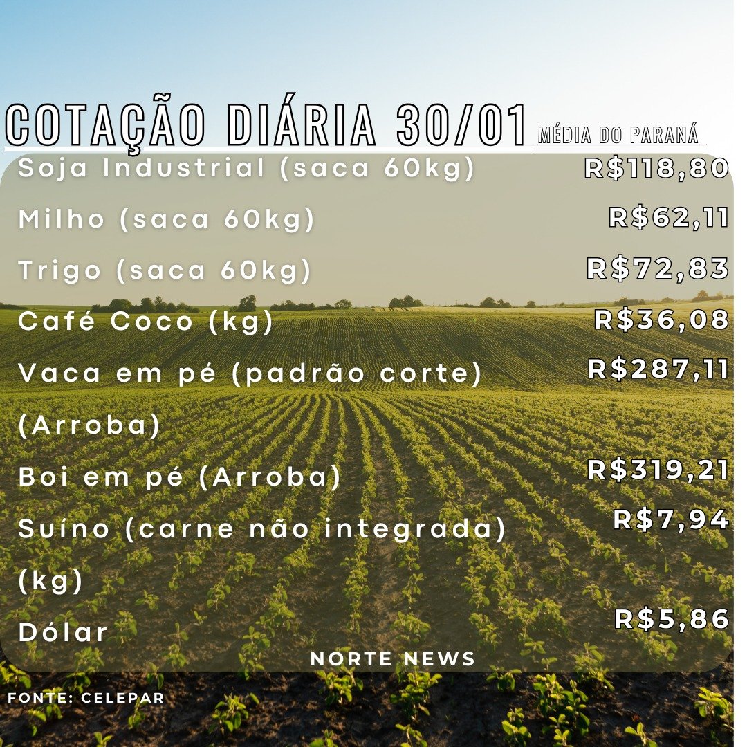 Cotação Diária 30/01: Soja, Milho, Trigo, Café, Vaca, Boi, Suíno, Dólar.