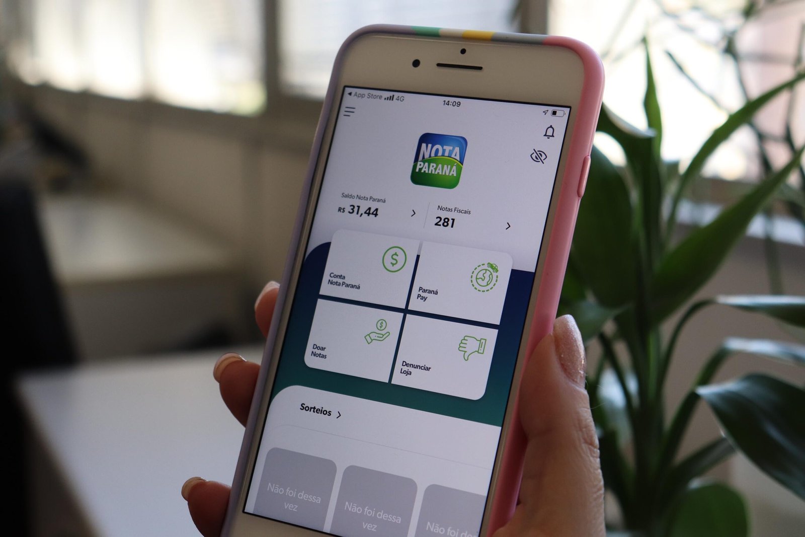 Foto: Gabriely Smek/SEFA-PR