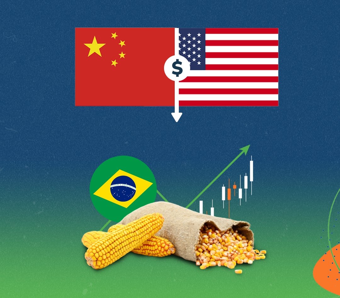 Divulgação Céleres

