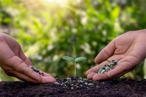 Fertilizantes minerais e orgânicos: a segurança alimentar do mundo depende deles