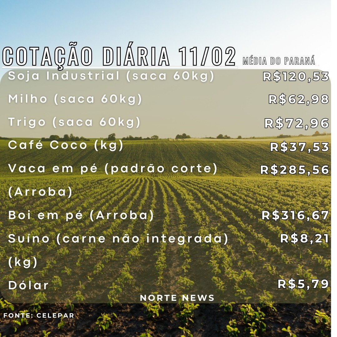 Cotação Diária 11/02: Soja, Milho, Trigo, Café, Vaca, Boi, Suíno, Dólar.
