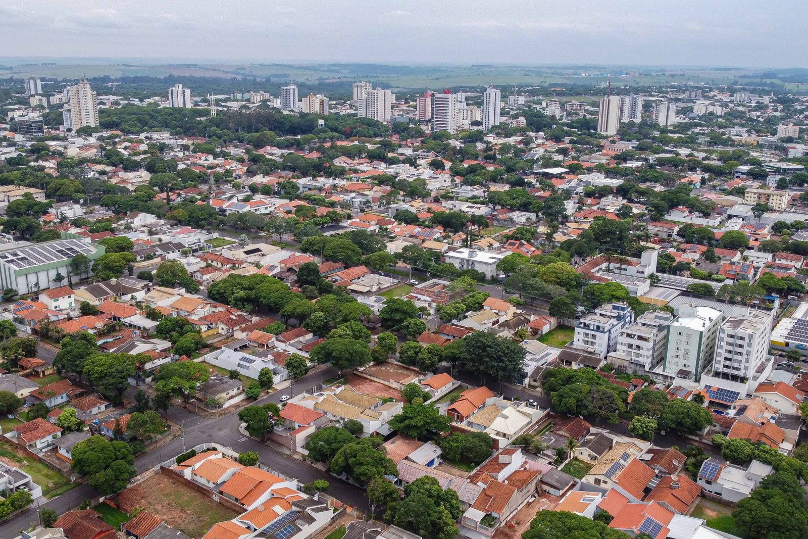 Foto: Roberto Dziura Jr/AEN