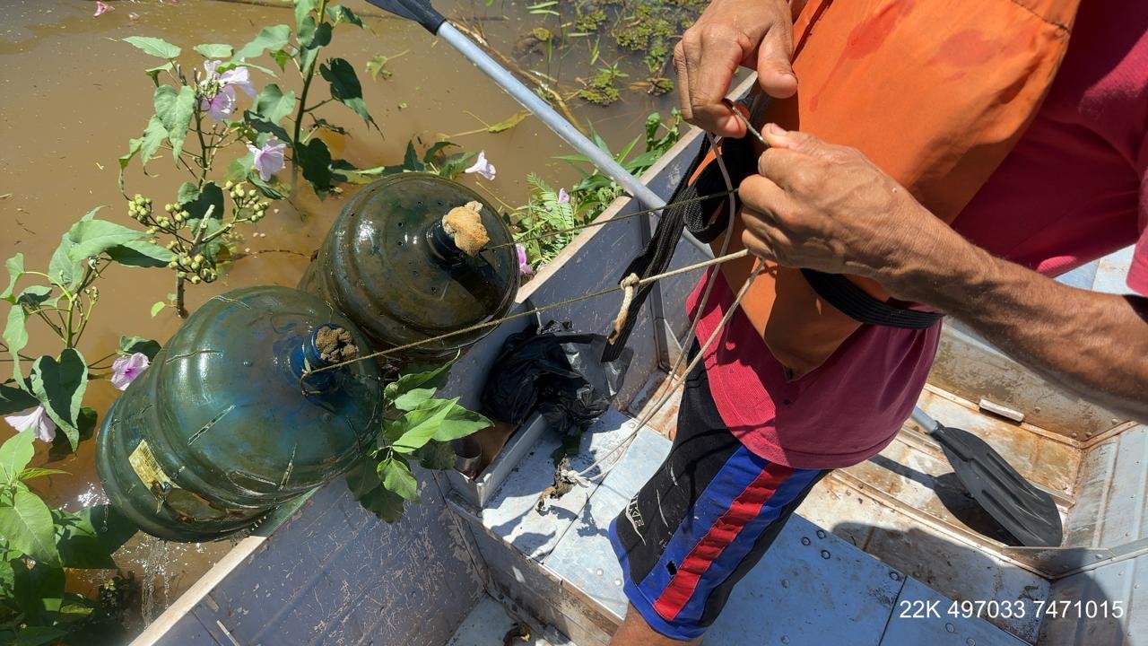Fiscalização apreende quase 3 toneladas de camarão em pesca ilegal no município de Primeiro de Maio