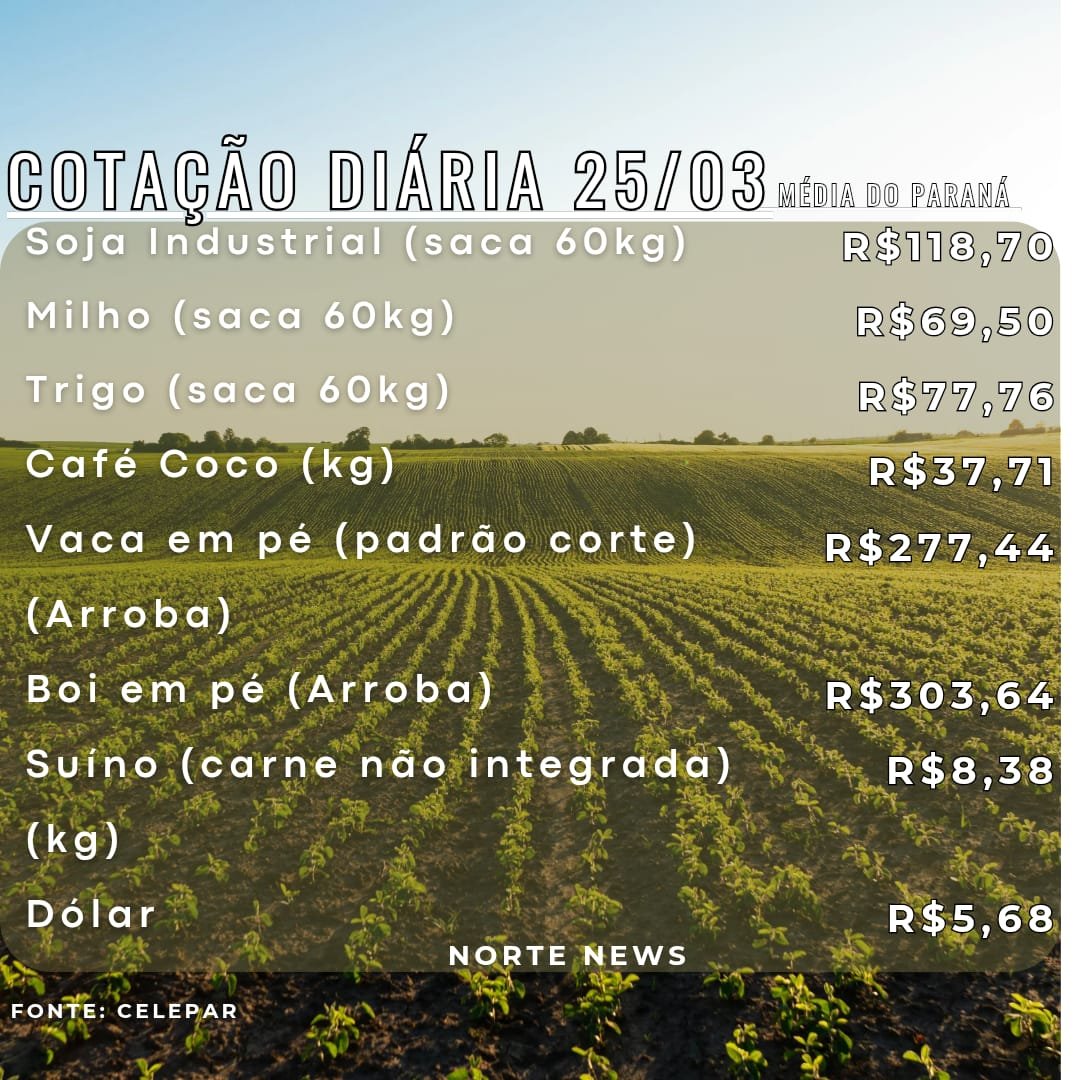 Cotação Diária 25/03: Soja, Milho, Trigo, Café, Vaca, Boi, Suíno.
