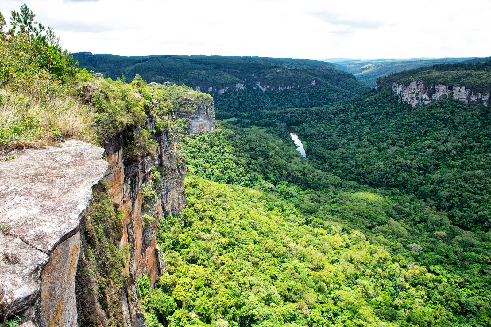 Foto: Denis Ferreira Netto/SEDEST-PR