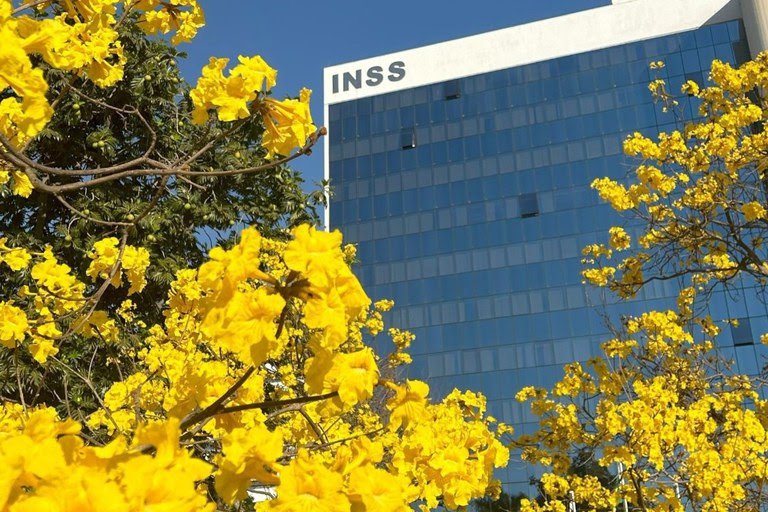 Foto: INSS/Divulgação