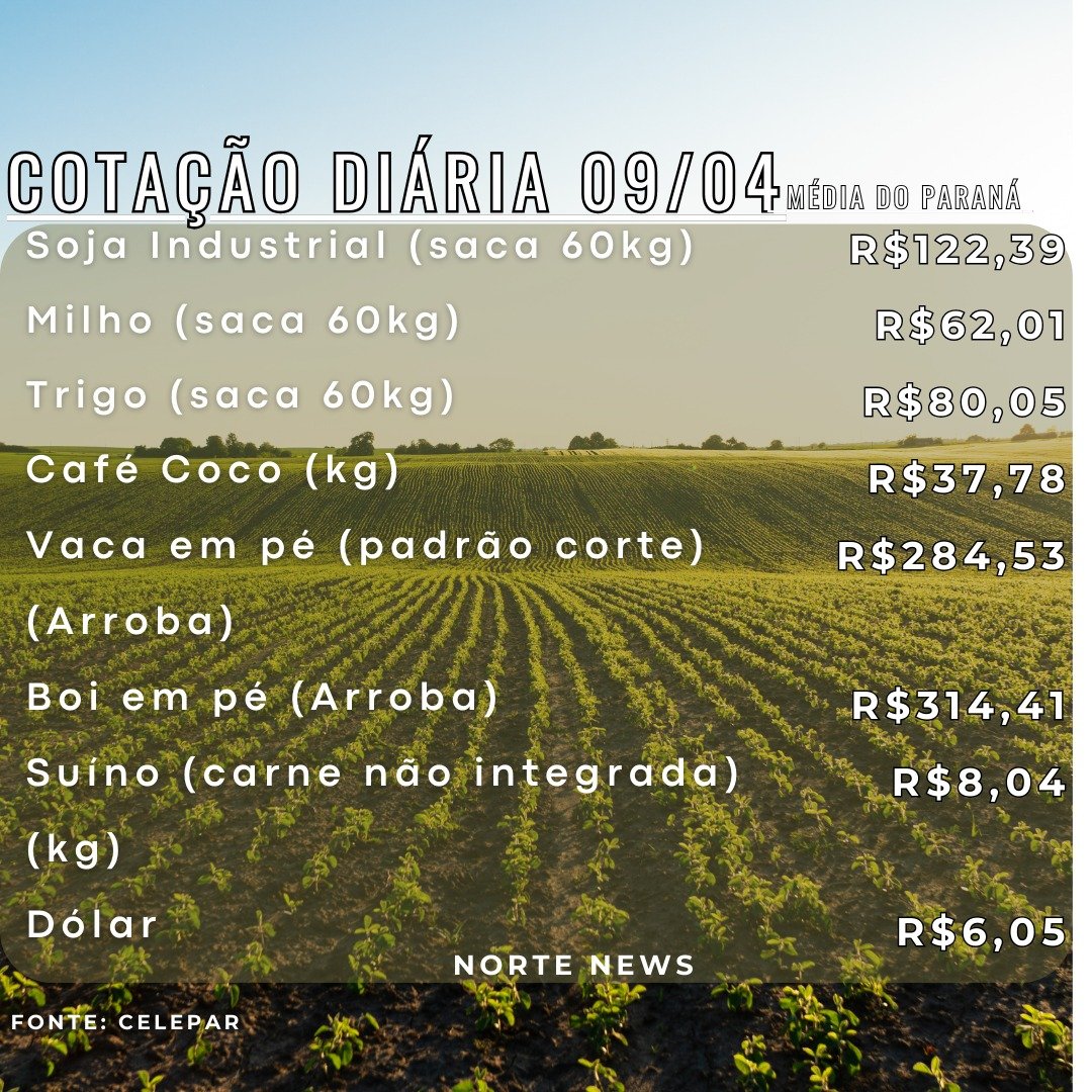 Cotação Diária 09/04: Soja, Milho, Trigo, Café, Vaca, Boi, Suíno, Dólar.