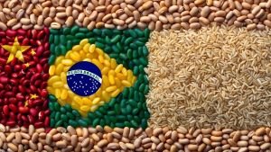 Divulgação Sell Agro